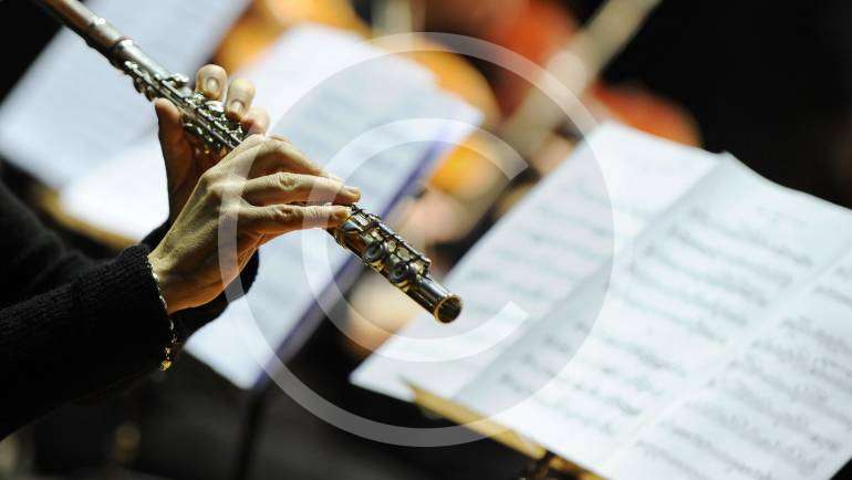 Western Concert flute